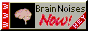 brain noises